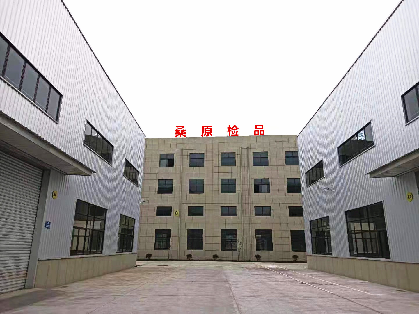 桑原 桑原